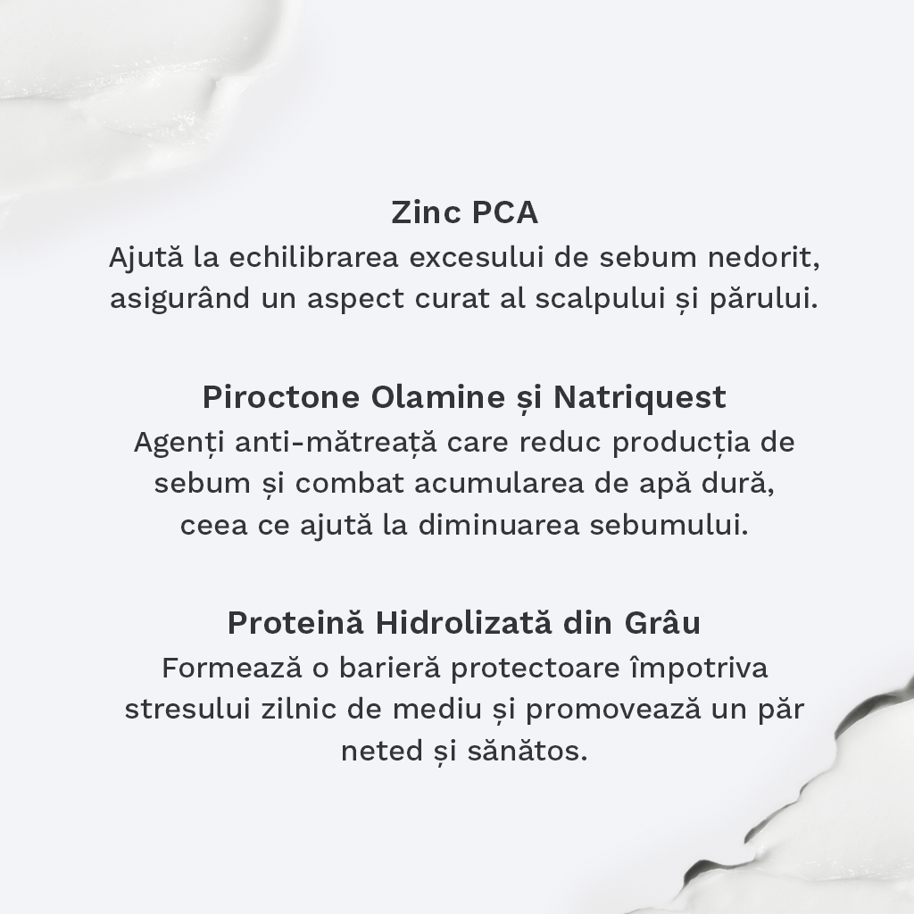 Duo Șampon & Balsam Păr Gras